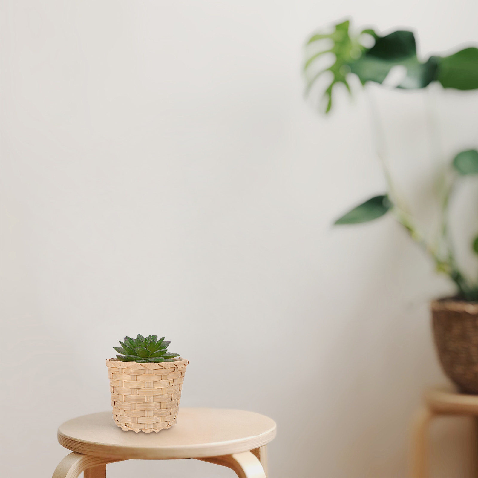 10Pcs Premium Bamboo Woven Bas - đánh giá và giá Sustainable Living Officer