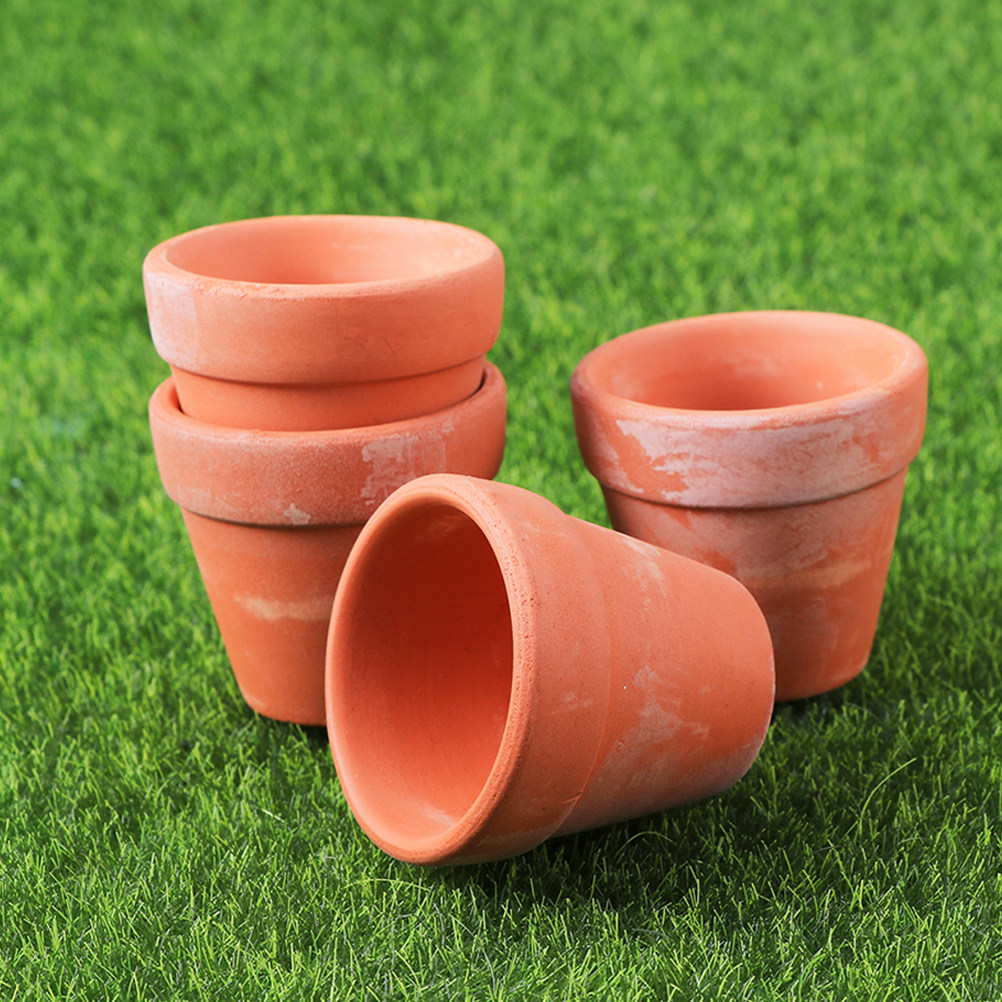 20Pcs Mini Terracotta Pots Sma - đánh giá và giá Sustainable Living Officer